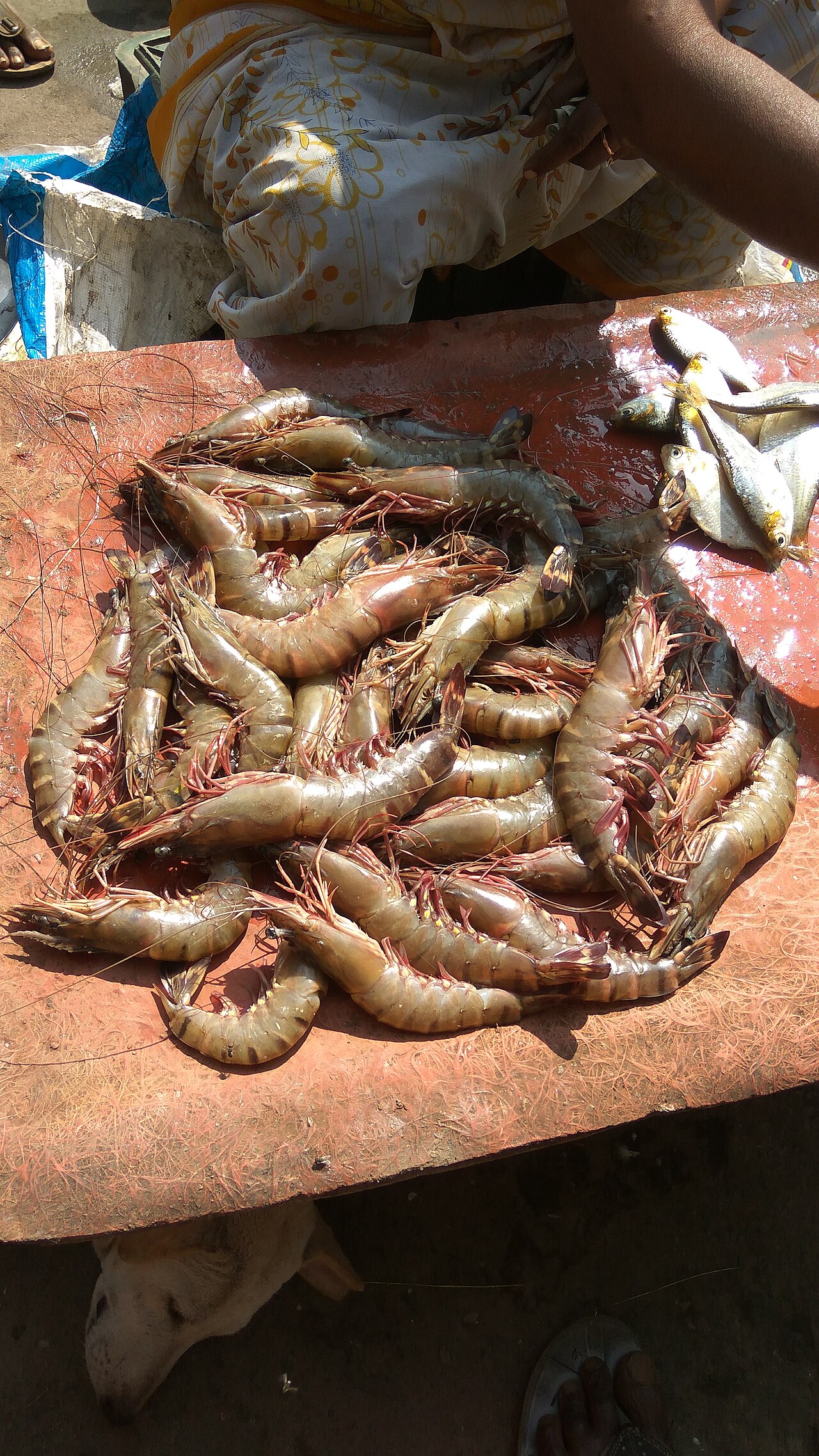 Black Tiger Prawns