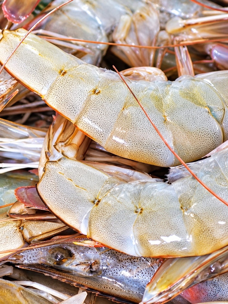 Vennamei White Prawns