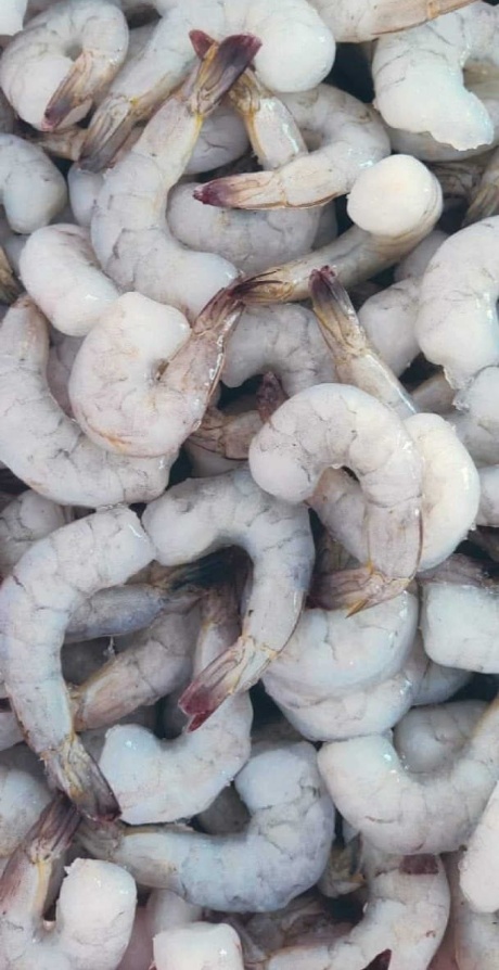 Tail-On IQF White Prawns